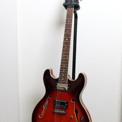Aria pro Ⅱ TA-01　セミアコギター