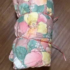 【中古】中綿シルク100% ダブルサイズ掛け布団の画像
