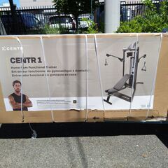 【展示品・外箱傷みあり】CENTR 1 シングルスタックファンクショナルトレーナーの画像