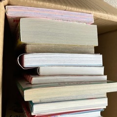 小学生 女子 本まとめて　交換可の画像