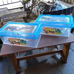 鈴虫等飼育ケース浅型ワイド　アイリス「ちいさな動物園」CC-43...