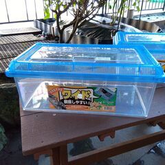 鈴虫等飼育ケース浅型ワイド　アイリス「ちいさな動物園」CC-430L　２セット（大巾値下げ)　の画像