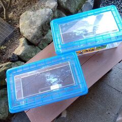 鈴虫等飼育ケース浅型ワイド　アイリス「ちいさな動物園」CC-430L　２セット（大巾値下げ)　の画像