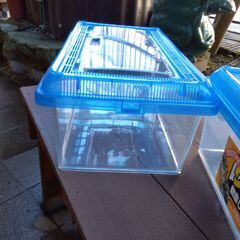 鈴虫等飼育ケース浅型ワイド　アイリス「ちいさな動物園」CC-430L　２セット（大巾値下げ)　の画像