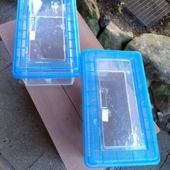 鈴虫等飼育ケース浅型ワイド　アイリス「ちいさな動物園」CC-430L　２セット（大巾値下げ)　の画像