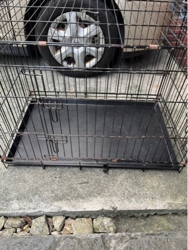 US 犬用ケージ ダブルドア 中型犬