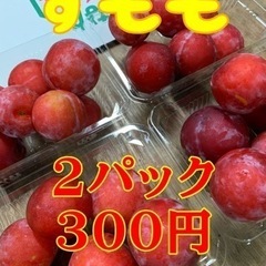 【受付終了・在庫切れ】☆★☆ 和歌山県産すもも（プラム）訳あり2...