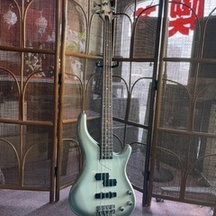 更に
お値引きしました！ greco  ベース