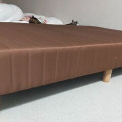 セミダブルマットレスベッドの画像