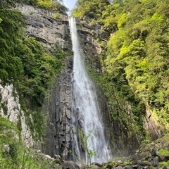 【滝・自然・植物など好きな人】