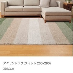 ニトリ アクセントラグ フォレト カーペット グリーンの画像