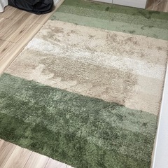 ニトリ アクセントラグ フォレト カーペット グリーンの画像