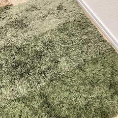 ニトリ アクセントラグ フォレト カーペット グリーンの画像