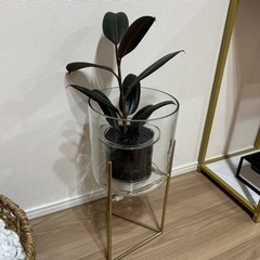 ７月７日17時に削除しますZARA HOME　
