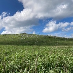 自然が好きな方