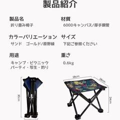 新品 送料無料 アウトドア用折り畳み椅子 釣り キャンプ　並び　ビーチ　ピクニック　超軽量 収納バッグ付き 条件付無料配達の画像