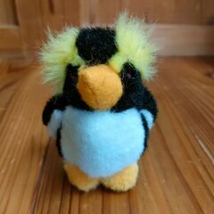 イワトビペンギンの中古が安い！激安で譲ります・無料であげます