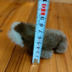 セイウチ ぬいぐるみの画像