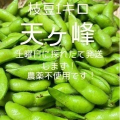 食品