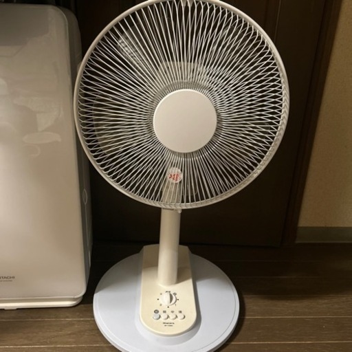 決まりました‼️大人気扇風機sold out‼️