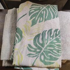 服/ファッション Tシャツの画像