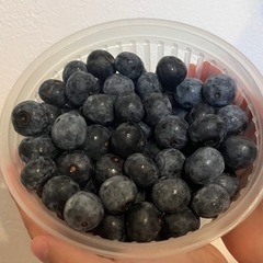 🍇🍓🍑🍉フルーツシロップ作り🍇🍓🍑🍉