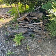 丸太や廃材等、差し上げますの画像