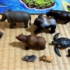 アニア　フィギュア　マウンテンアイランド　まとめ売り　ブラックライオンの画像