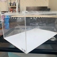 レプタイルズボックス