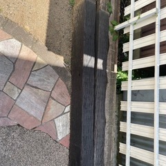 生活雑貨 家庭用品 ガーデニング