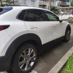 2020 cx-30 L パッケージ