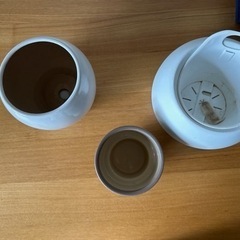 インゾーネ購入　観葉植物の鉢セットガーデニング、ナチュラルインテリアの画像