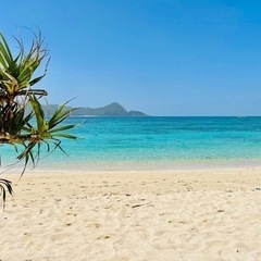 奄美の海でマダミスしませんか？🏝️ - その他