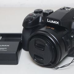 Panasonic/LUMIX DMC-FZ300/デジタルカメラ ⑥