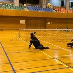 シッティングバレーボール メンバー募集中 - スポーツ
