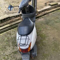 HONDA　TACT　原付バイクの画像
