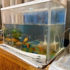おもちゃ パズル