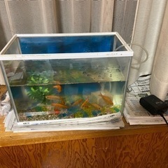 おもちゃ パズルの画像