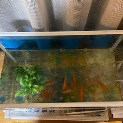 おもちゃ パズルの画像