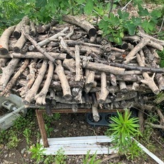 木　乾燥済み