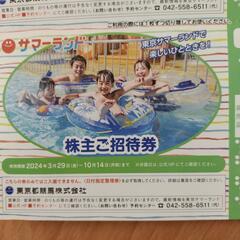 サマーランド　チケットの画像