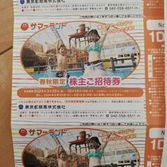 サマーランド　チケットの画像