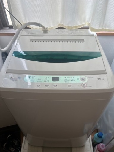 家電 生活家電 洗濯機