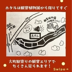 【🌃ホタル観賞会期間中のAndinoCAFE🇵🇪🥤出店情報@市川市動植物園/大町自然観察園】 - 地域/お祭り