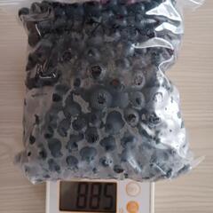 Sale価格( ´･ω･)シ自家栽培　無農薬冷凍ブルーベリー🍇⑤