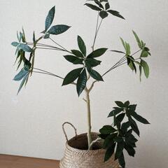 再値下げ！フェイクグリーン　パキラ　カゴ付き