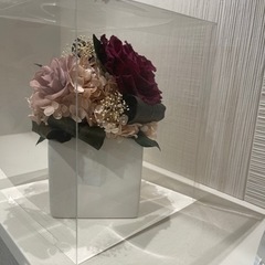 ドライフラワーの画像