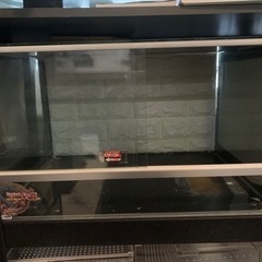 爬虫類ケージ《募集一旦中止》