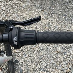 HARO FLIGHTLINE24 の画像