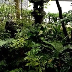 灯篭　値下げ要相談！！